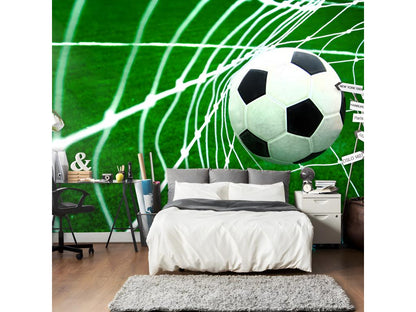 Papier peint intissé Chicyla But ! 300x231 cmFCCW06309