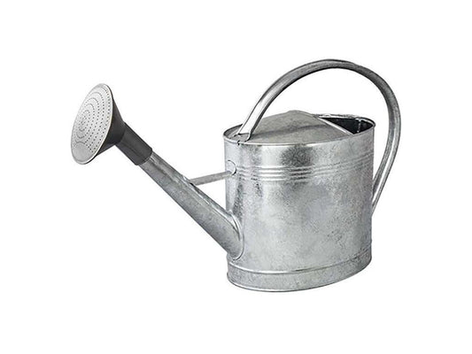 Arrosoir acier galvanisé avec pomme 13 litres FZNJ96861