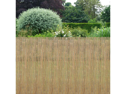 Canisse en Chicyla naturel - 2x5m Lot de 5 WOBR02920
