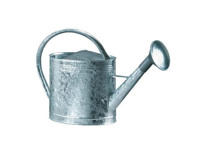 Arrosoir acier galvanisé avec pomme 13 litres FZNJ96861